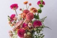 Wellington Fleur & Co.